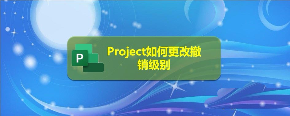 Project文件怎么更改撤销级别?