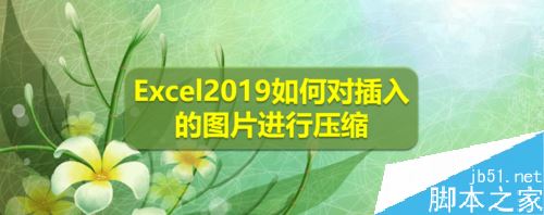 Excel2019怎么对图片进行压缩？Excel2019压缩图片设置方法