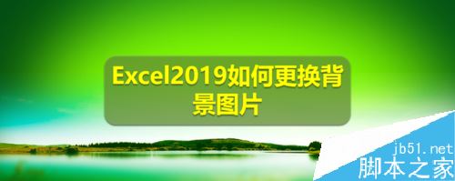 Excel2019怎么更换背景图片？Excel2019背景图片设置教程