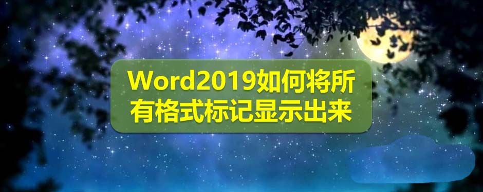 Word2019怎么显示所有格斯标记前面的方框?