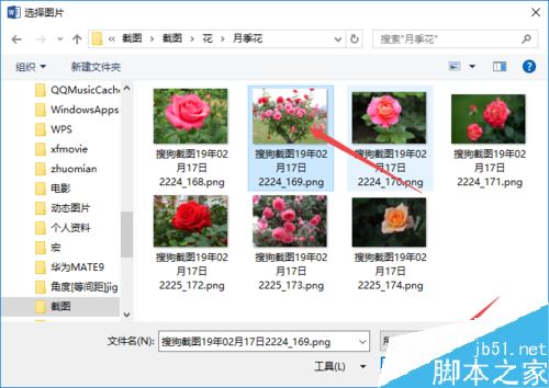 word2019怎么设置图片背景？word2019背景图片设置教程