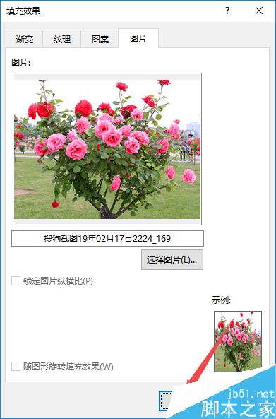 word2019怎么设置图片背景？word2019背景图片设置教程