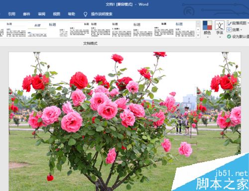 word2019怎么设置图片背景？word2019背景图片设置教程