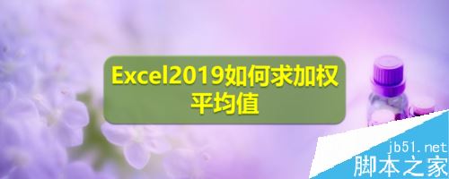 Excel2019怎么求加权平均值？Excel2019加权平均值计算教程