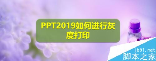 PPT2019怎么灰度打印？PPT2019黑白打印设置方法