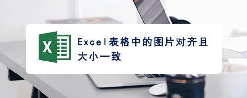 excel表格中多张图片怎么快速统一大小并排版?