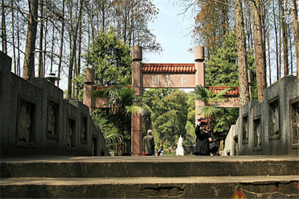 中国三大核心科学植物园：武汉植物园上榜，它的规模最大