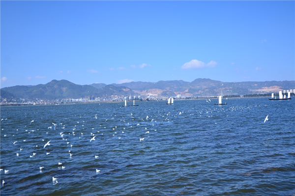 昆明十大风景名胜区排行榜：海埂大坝上榜，云南民族村第十