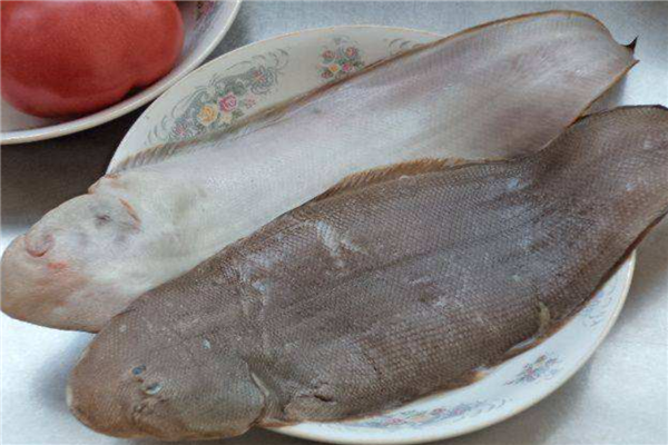 十大最好吃的海鱼排行榜