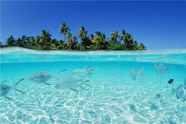 国外海岛游排名 斐济岛是度假胜地 巴厘岛是世外桃源