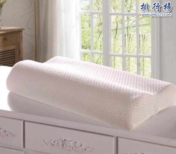 国内最好的记忆枕有哪些?中国记忆枕排行榜10强推荐