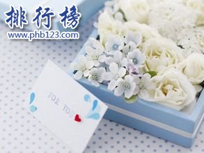 送女朋友礼物送什么好？送女朋友礼物排行榜2018
