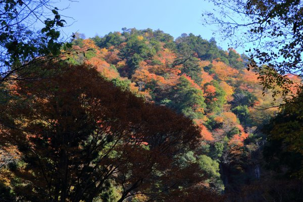 南京十大冬季旅游好去处,梅花山强势上榜，栖霞山仅排第十