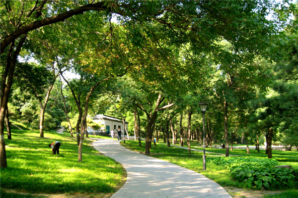 杭州十大公园排行榜：文化公园上榜，它古色古香
