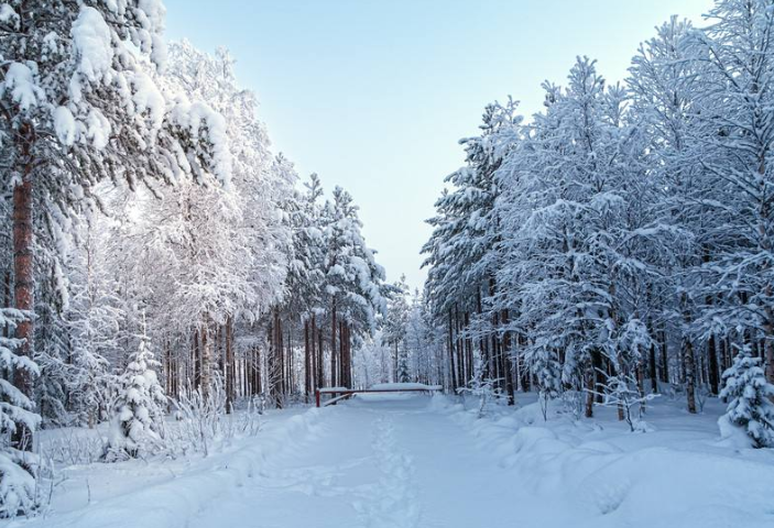 全球六大最美雪景盘点 浪漫雪国北海道上榜，宛如冬日仙境