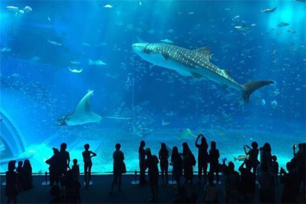 世界十大最好玩的地方 普吉岛上榜,澳大利亚大堡礁一定要去