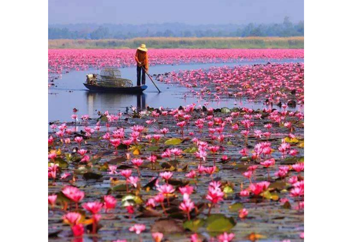 2019泰国十大旅游景点 普吉岛人气最高，大皇宫必看