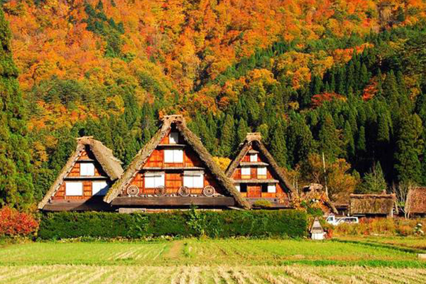 日本必去十大景点:盘点去日本旅游一定不能错过的地方