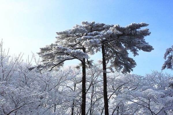 11-12月国内旅游最佳地排行榜