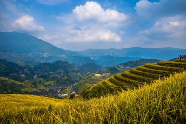 中国十大最美梯田榜:元阳梯田第二，第七在中国最美乡村