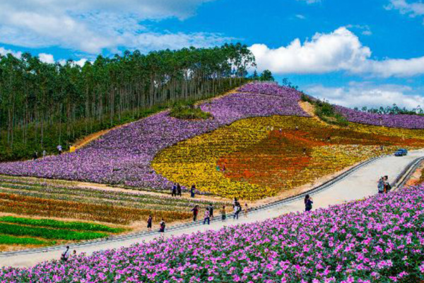 漳州旅游十大景点