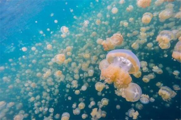 世界十大最美的湖泊 贝加尔湖冬季如冰雪王国，一眼心动之地