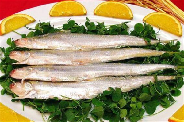 世界十大顶级食用鱼 苏丹鱼肉质嫩滑，榜首是生鱼片中的极品
