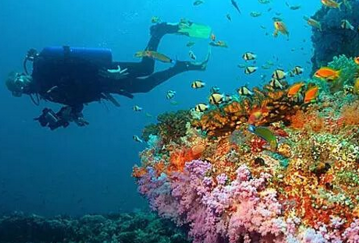 世界十大潜水圣地 全球最美潜水天堂每一个都让人痴迷