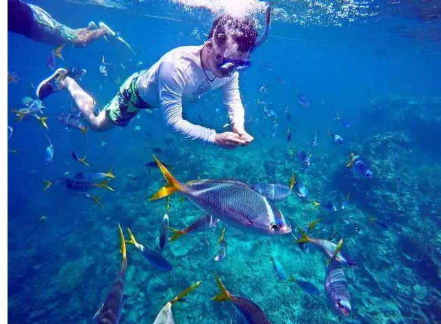 世界十大潜水圣地 全球最美潜水天堂每一个都让人痴迷