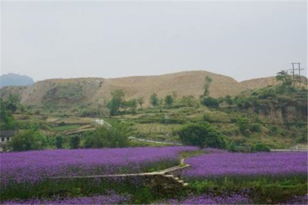 内江最好玩的地方推荐 内江好玩的地方排行榜