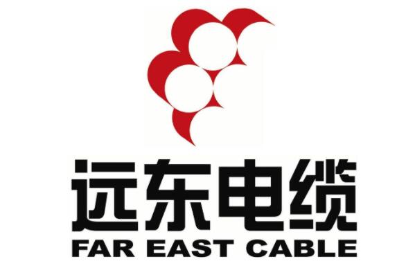 广东电线十大名牌排名，远东电缆上榜，第六家与施耐德电气联手