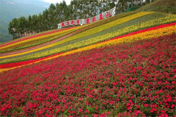 漳州4A景区排行榜 漳州国家4a旅游景区几个