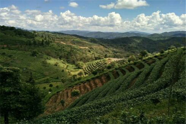 思茅地区好玩的地方推荐 思茅地区好玩的地方排行榜