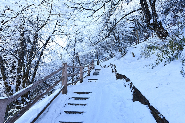 冬季好玩又不贵的城市，风景网红穷游浪漫都安排上