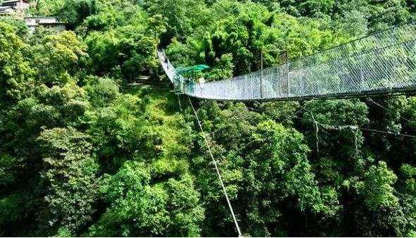 全球蹦极十大排行 澳门旅游塔上榜