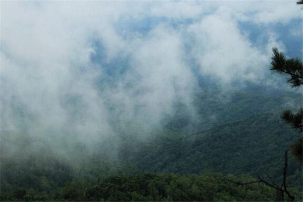 鹤岗有什么好玩的地方？盘点鹤岗好玩的地方排行榜