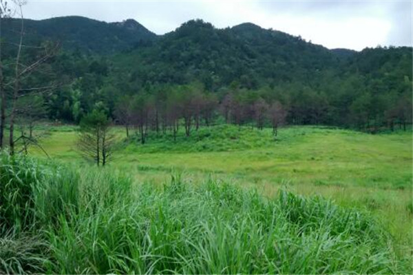 古田好玩的地方有哪些 古田十大景点排名