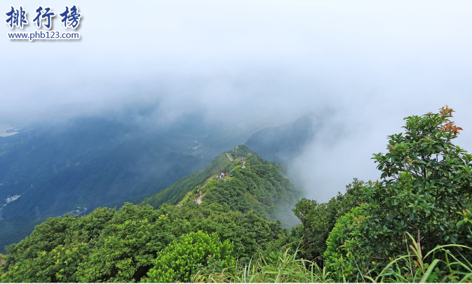 深圳旅游必去的地方有哪些？深圳十大景点排名