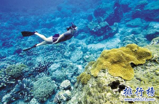 全球潜水最好的地方有哪些?全球十大潜水度假胜地