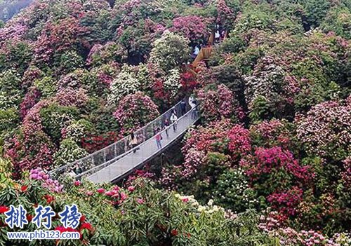 贵州必去的十大旅游景点:黄果树瀑布仅第二