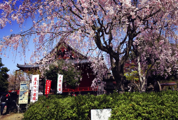 日本东京必去十大景点排名