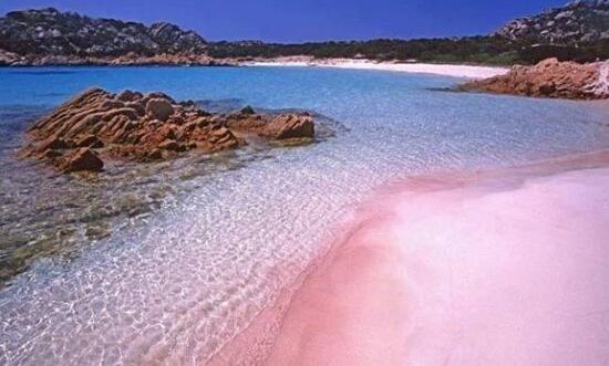 去粉色沙滩要多少钱,粉色海滩全天免费开放