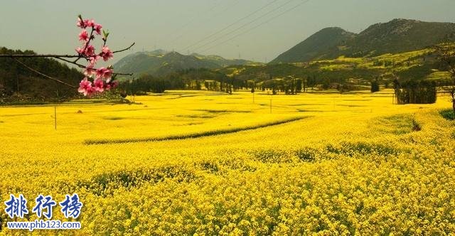 2月份适合去哪里旅游,2月份十大最佳旅游好去处