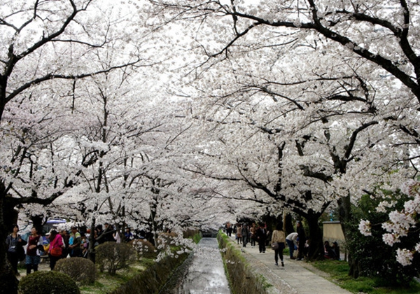 日本必去的十大景点排名