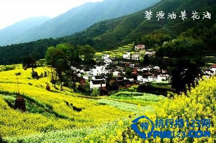 中国九大最让人迷醉的花海排行榜 让人迷醉的花海