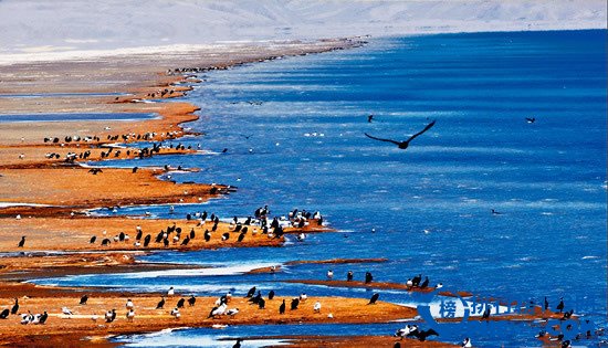 中国最美五大湖排行榜 美得无与伦比