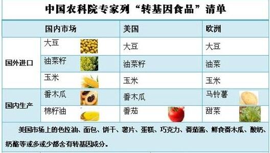 转基因食品名单，如何鉴别转基因食物