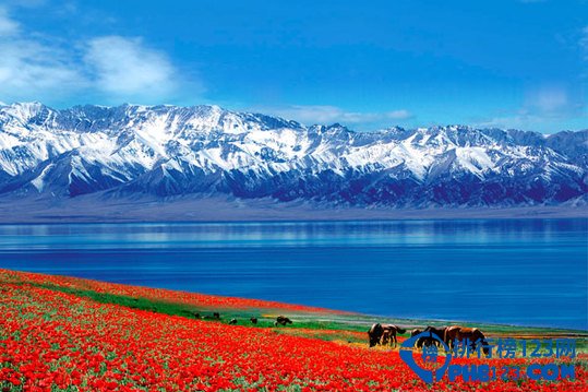 你不得不知的二十个美不胜收的新疆美景