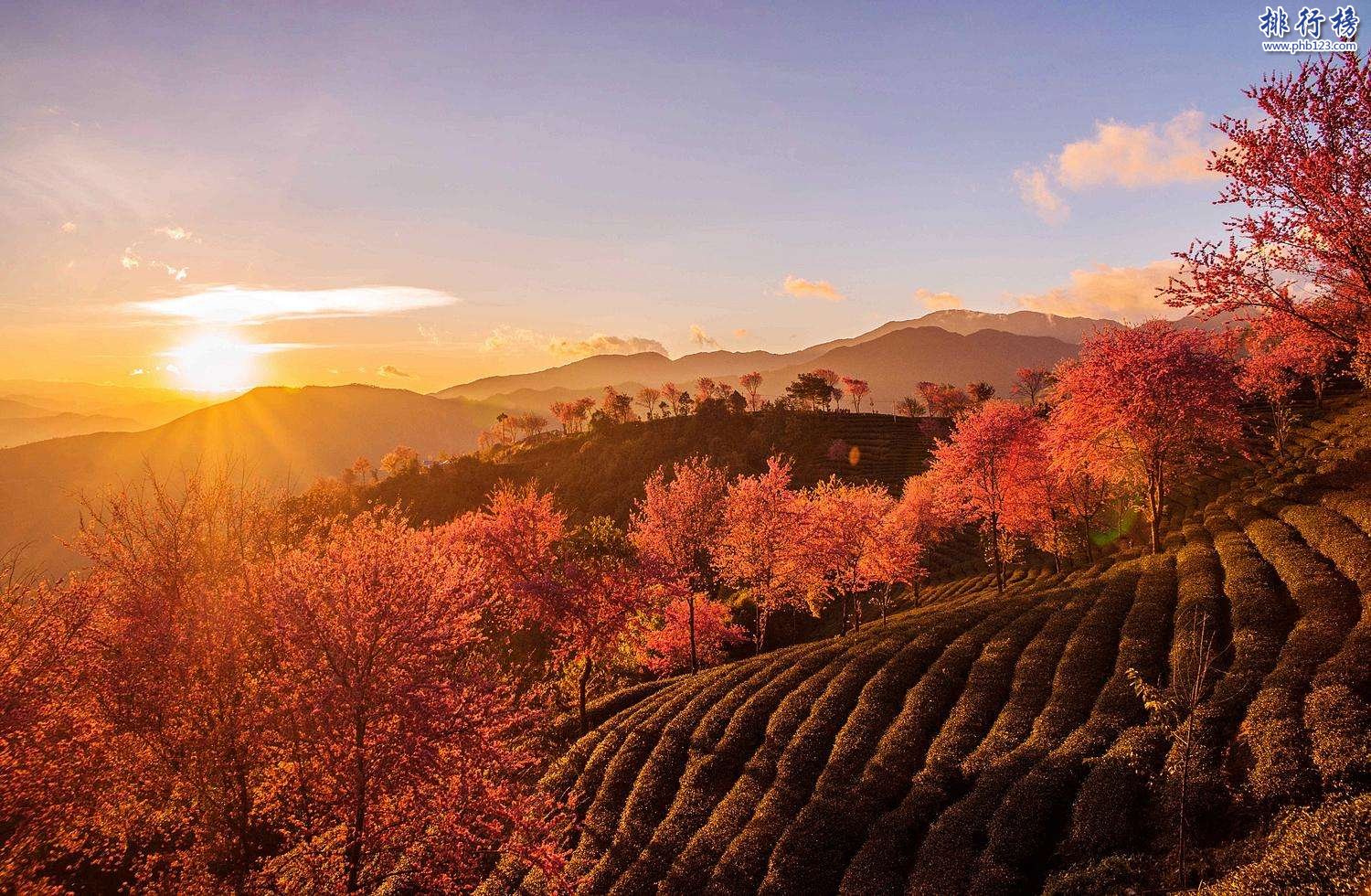 1月份去海南三亚旅游应该穿什么衣服