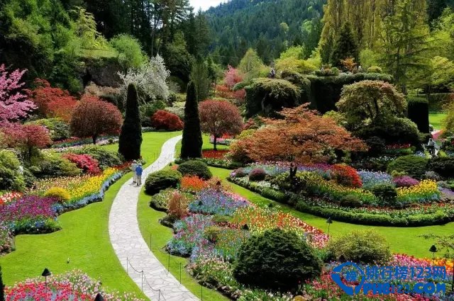 世界最美丽的十大花园